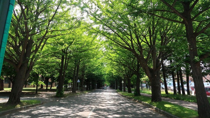 北海道大学06の写真