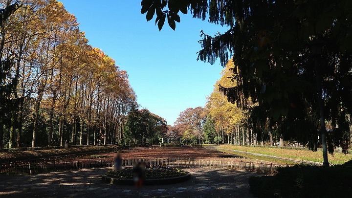 栃木県中央公園02の写真