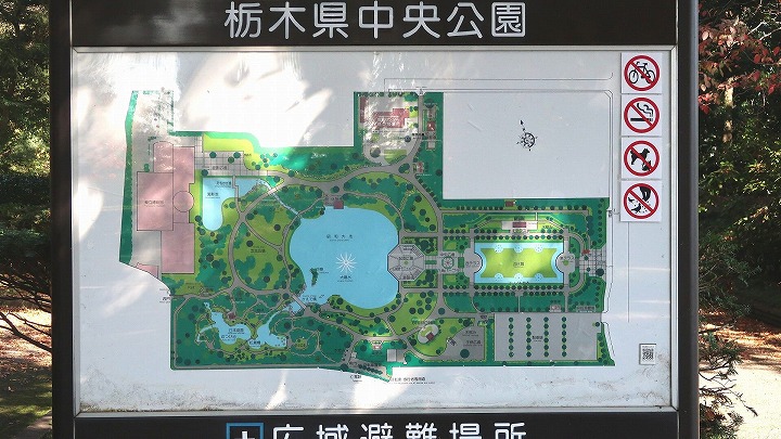 栃木県中央公園03の写真