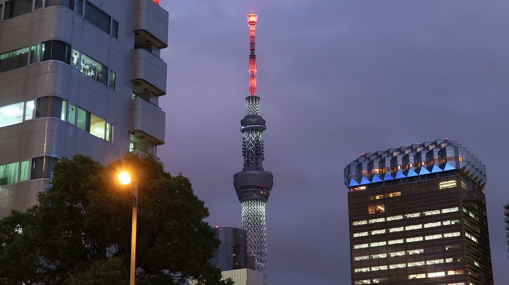 東京ｽｶｲﾂﾘｰ14の写真