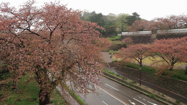 金沢城08の写真