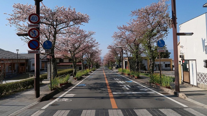 武田神社01の写真