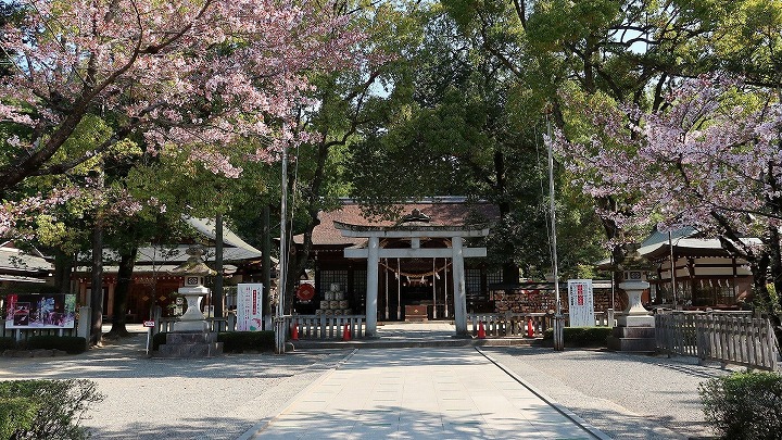 武田神社04の写真