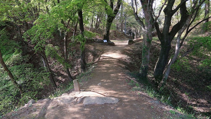 武田神社07の写真