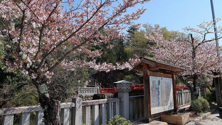 武田神社19の写真