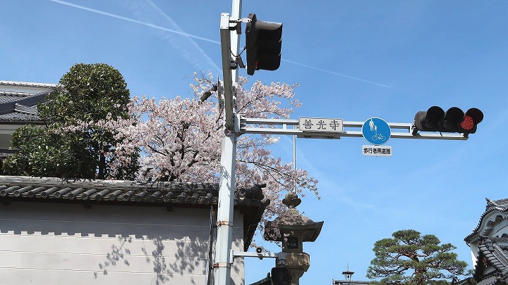 善光寺04の写真