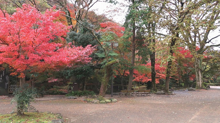 岐阜公園の写真