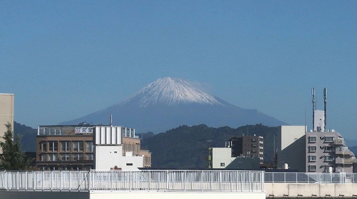 静岡市歴史博物館02の写真