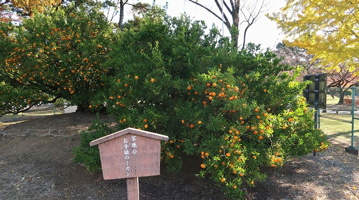 駿府城公園06の写真