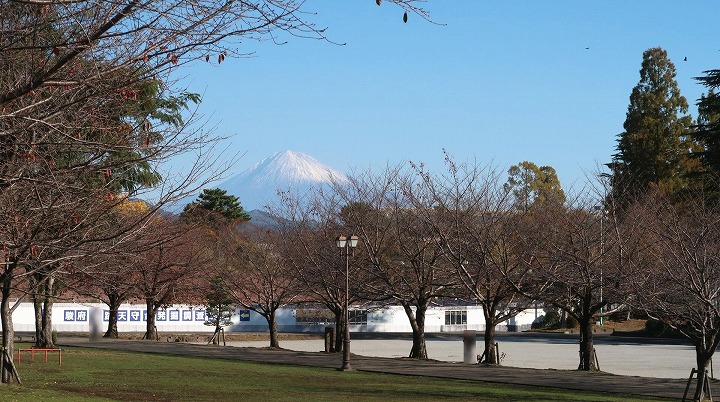 駿府城公園の写真