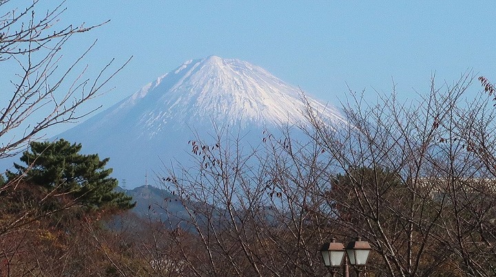 駿府城公園14の写真