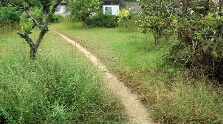 近江大津宮錦織遺跡02の写真