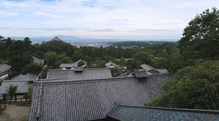 東大寺11の写真