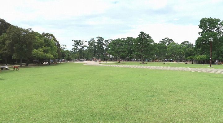 奈良公園03の写真