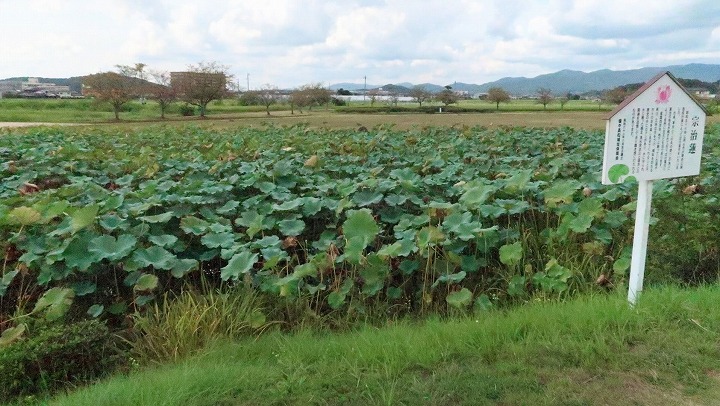 備中高松城跡06の写真